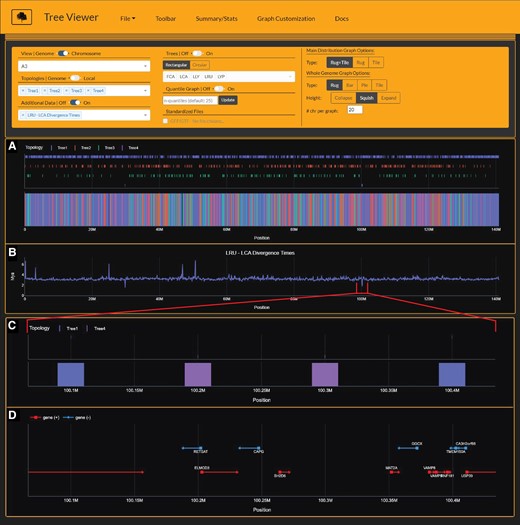 Tree Viewer interface depicting Lynx lineage phylogenetic signal (A), divergence time estimates (B), and zoomed-in view of Canada lynx-bobcat hybrid window (C) and underlying gene annotations (D) on chromosome A3. Divergence time estimates (time-2) are time estimates for branch 2 for each window's respective tree topology. Importantly, time-2 estimates for Tree4 (Canada lynx-bobcat hybrid topology) indicate estimates for the bobcat, reflecting significantly younger divergence times at windows 29.8Mb, 100.2 Mb, and 100.3Mb (B). Gene annotations from windows 100.2 Mb and 100.3 Mb harbor RETSAT, a gene known to cause increased adiposity in retinol saturase-knockout mice (Moise et al. 2010).