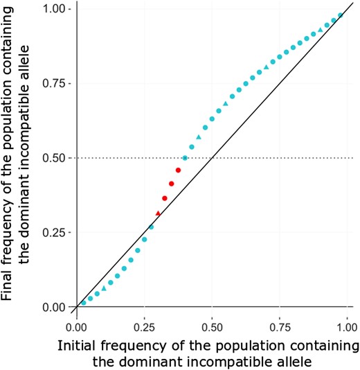 Theoretical expectation of the mean two-locus ancestry proportion for the population contributing dominant incompatible variants under a dominant-by-recessive model. In this plot, the x-axis represents the initial admixture proportion for the population contributing the dominant incompatibility partner allele, and the y-axis is its predicted ancestry proportion after 1,600 generations of admixture (averaged across both incompatibility loci). Hence, the final frequency depicted depends on both selection against the dominant incompatibility allele and selection against the other population’s recessive allele at the incompatibility partner locus. The black line of equation x = y indicates whether the dominant-contributing population’s ancestry proportion has increased or decreased over time. Results were calculated using a simple two-locus fitness model in which incompatible two-locus genotypes led to a relative fitness reduction of 0.01. Either or both partner loci could fall on the X chromosome with probability 20%, and were otherwise autosomal. No linkage between partner loci was modeled. Triangles represent frequencies that were included in our simulation study and red points indicate scenarios in which the predicted correlation between minor ancestry and recombination is negative.