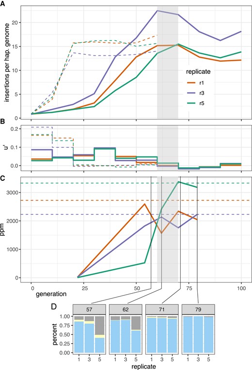 Dynamics of a natural P-element invasion in D. simulans at cold conditions (solid lines). (A) Abundance of P-element insertions during the invasion in three replicates. Hatched line shows the previously published invasion dynamics at hot conditions (Kofler et al. 2018). Grey shades indicate the proposed onset of the plateauing at cold conditions. (B) Effective transposition rates (u′) during the invasions. (C) Abundance of piRNAs complementary to the P-element (ppm piRNAs per million miRNAs). Hatched lines show the average abundance of P-element piRNAs at the plateau (≥20 generations) of the hot invasion. Note that similar levels of piRNAs are necessary to stop the invasions at hot and cold conditions. (D) Abundance of dysgenic ovaries at 29°C. Blue, normal ovaries; grey, dysgenic ovaries; yellow, intermediate.