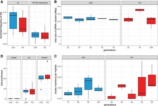 Temperature has a minor influence on some important factors governing the invasion dynamics. (A) Fraction of P-element insertions with any internal deletion (ID; all) and an ID that may repress P-element activity (KP-like repressor). Only samples at the plateau of the invasions were used (hot ≥20, cold ≥70 generations). (B) Total size of piRNA clusters during the invasions based on unambiguously mapped piRNAs. (C) Average number of P-element insertions in piRNA clusters per haploid genome. Only samples at the plateau of the invasion are shown. (D) Enrichment of P-element insertions in piRNA clusters, ORCs and insertion sites shared among species. Only samples with more than 10 P-element insertions per haploid genome were used (generations ≥20 hot and ≥50 cold).