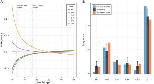 Longevity models of the mutation spectrum. (A) The predicted change in each mutation class as a function of average parental age (colored lines). The predictions come from fitting observed human data using a Poisson regression (see main text). The vertical lines indicate the spectrum that would be predicted under a total longevity model and a reproductive longevity model. (B) The observed cat mutation spectrum (black bars) compared with the predicted frequency of each mutation class under a total longevity model and a reproductive longevity model. Error bars on the cat spectrum show a binomial 95% CI (Wilson score interval) for their respective classes.