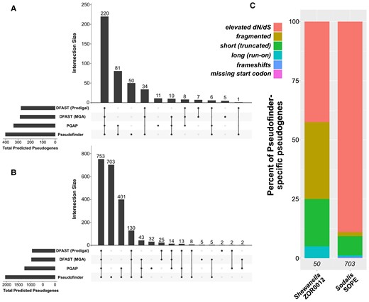 Summary of benchmarking results, comparing pseudogene predictions by Pseudofinder to those of two other softwares: PGAP and DFAST (run with two different gene-callers). (A and B) ‘Upset’ plots (Conway et al. 2017), showing the overlap and differences between the three pipelines in pseudogenes predicted from Shewanella (A) and Sodalis (B). Each bar in the barplot represents the total number of pseudogenes that overlap between the pipelines denoted with dots below. (C) Barplots showing the types of pseudogenes that were predicted only by Pseudofinder in Shewanella and Sodalis (i.e., Pseudofinder-specific pseudogenes). Italicized numbers at the bottom of each bar indicate the number of Pseudofinder-specific pseudogenes predicted in each genome.