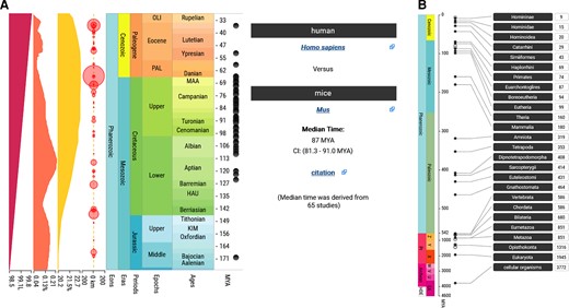 Timetree Evolution TimeTree 5: An Expanded Resource for Species Divergence Times ...