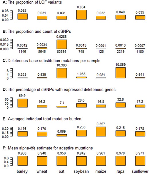 Six estimates of deleterious and adaptive mutations from the samples of the seven germplasm collections (barley, wheat, oat, soybean, maize, rapa, and sunflower). Panel A shows the proportion of loss-of-function (LOF) variants over all detected variants in a collection; panel B displays the count and proportion of deleterious SNPs (dSNPs) over all detected variants; panel C displays the estimate of deleterious base-substitution mutations per sample (×10−8); panel D illustrates the percentage of the dSNPs associated with expressed deleterious genes; panel E plots the estimate of averaged sample-wise total mutation burden per deleterious locus; and panel F displays the estimate of mean alpha-dfe for adaptive mutations.