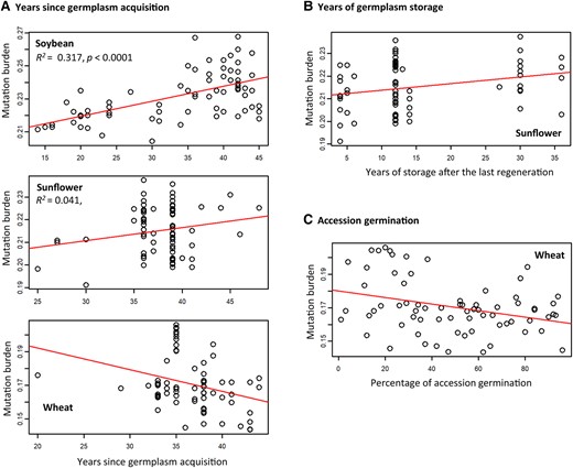 Some collections display significant associations of individual total mutation burden with the years since germplasm acquisition (A), the years of germplasm storage after the last germplasm regeneration (B), and/or the percentages of accession seed germination (C).