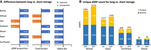 Some collections display increased proportions of dSNPs over all detected variants, high individual total mutation burden and lowered alpha-dfe values for adaptive mutations when accessions were stored over a long time (A). The expected and unexpected differences in panel A for dSNP proportion and total burden are shown in right blue and left orange boxes (but un-scaled for ease of illustration), respectively, while all the differences for alpha-dfe are expected and shown in left blue boxes. The stars within each box stand for the statistical significance (*P < 0.05; **P < 0.01; ***P < 0.001). These expectations were further supported with the increased count of unique dSNPs in the accessions with more storage years (B) in four collections. For example, the wheat collection shows the samples with 25 yr of storage or longer had 1,014 unique dSNPs, while the samples with 20 yr of storage or shorter had 789 unique dSNPs. Unique and shared dSNP counts in panel B are shown in top yellow and bottom blue bars, respectively.