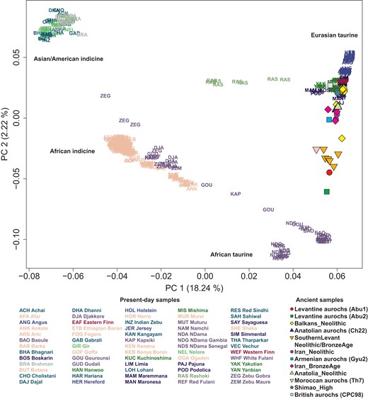 PCA of worldwide cattle breeds excluding Chinese ones. We calculated PCs from 394 present-day cattle individuals, including both taurine and indicine cattle but excluding Chinese breeds for a clearer separation within the taurine cattle. Each present-day cattle individual is marked by a 3-letter code representing its breed name. Ancient cattle and aurochs individuals are projected onto the top 2 PCs and marked by color-filled symbols. The proportion of variance explained by each PC is indicated in the axis labels.