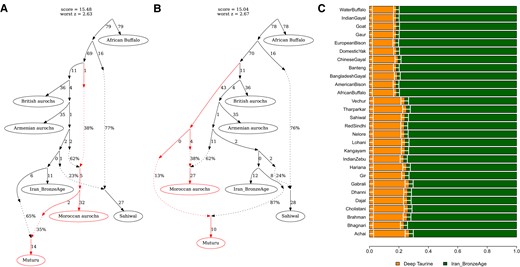 Admixture modeling of Muturu. We present 2 best population graphs, obtained from qpGraph, involving a gene flow into Muturu and adequately fitting the observed data. A) Topology B-2 models Muturu as a mixture of Iran_BronzeAge and the Moroccan aurochs, the latter of which received a gene flow from a deep taurine branch. B) Topology B-3 models Muturu as a mixture of Iran_BronzeAge and a deep taurine branch partially shared with the Moroccan aurochs. C) qpAdm-based estimates of the deep taurine admixture proportion in Muturu. We modeled Muturu as a mixture of Iran_BronzeAge and either an indicine or an outgroup Bovini species (marked on the left side) utilizing the fact that they can serve as a proxy for the unsampled deep taurine branch if none of the reference populations were more deeply branching than the deep taurine in Muturu (see Materials and Methods). Horizontal bars represent ±1 standard error measures estimated by 5-cM block jackknifing.