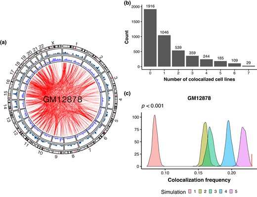 Spatial colocalization between retrocopies and their parental genes. a) Circos plot highlighting the chromatin interactions between retrocopies and parental genes in the GM12878 cell line. From outer to inner are the ideogram of human chromosomes, the density of parental genes, the density of retrocopies, and significant chromatin interactions between retrocopies and parental genes. b) Bar plot showing the number of human interchromosomal retrocopy–parent pairs as a function of the number of cell lines wherein the spatial colocalization is detected. c) Distribution of colocalization frequency between chromatin pairs under different null models, while the arrow points to the colocalization frequency of true retrocopy–parent pairs. Simulations and true frequency are based on Hi-C data of GM12878. P < 0.001 in all cases.