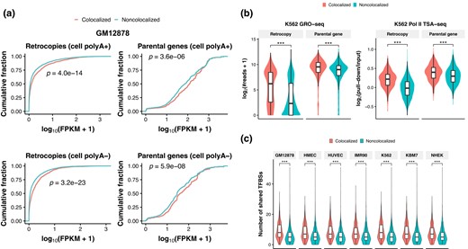 Expression and regulatory element sharing of retrocopies and parental genes. a) Plots of cumulative fraction of expression of retrocopies (left panels) and parental genes (right panels) in GM12878. The expression levels of polyadenylated (polyA+; top panels) and nonpolyadenylated (polyA−; bottom panels) RNAs are plotted separately. b) Comparison of GRO-Seq signal (left panel) and Pol II TSA-Seq signal (right panel) between colocalized and noncolocalized retrocopies/parental genes in K562. c) Comparison of the number of shared TFBSs between colocalized and noncolocalized retrocopy–parent pairs. ***P < 0.001; 2-tailed Wilcoxon test.