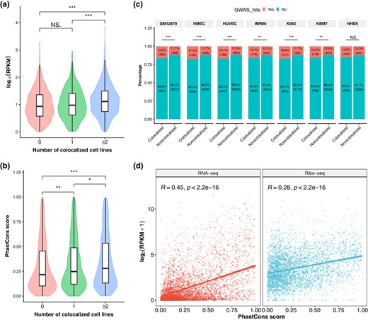 Coding potential and functional importance of colocalized and noncolocalized retrocopies. a, b) Comparison of Ribo-Seq RPKM values a) and phastCons scores b) among retrocopies that are colocalized in 0, 1, and ≥2 cell lines. For Ribo-Seq data, only retrocopies with RPKM ≥ 1 were included. c) Percentage of colocalized and noncolocalized retrocopies in the 7 cell lines that are overlapped with at least 1 NHGRI-EBI GWAS SNP. d) Correlation between phastCons score and RNA expression level (left panel) and between phastCons score and Ribo-Seq signal (right panel) of retrocopies. Solid line and shadowed area in each plot denote the linear regression line and its confidence interval. ***P < 0.001, **P < 0.01, *P < 0.05, and NS, not significant; 2-tailed Wilcoxon test in a) and b) and Fisher's exact test in c).