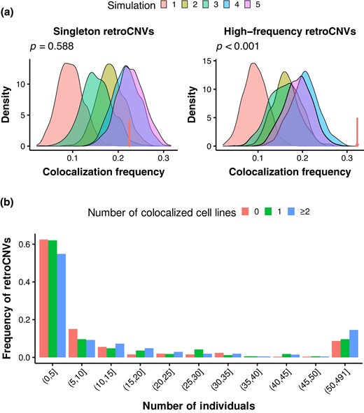 Colocalization and evolution of retroCNVs in humans. a) Density plots showing the distribution of colocalization frequency between chromatin pairs under different null models for singleton retroCNVs (left panel) and high-frequency retroCNVs (right panel). The arrows point to the colocalization frequency between true retroCNVs and their parental genes. Simulations and true frequencies are based on Hi-C data in GM12878. P-values are indicated for simulation 5. b) The presence frequency spectra for retroCNVs that are colocalized in 0, 1, and ≥2 cell lines.