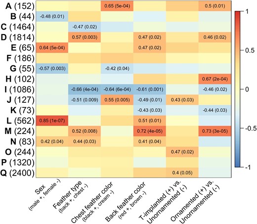 Module-trait correlations from WGCNAs for feathers. Modules are indicated by letters, and the number of genes per module is in parentheses. For each module eigengene, heatmaps present correlation coefficients and associated P values in parentheses for P ≤ 0.05. Parentheses on the x-axis represent how the bimodal traits are coded in terms of the coefficient values. Module “J” was enriched for several pigmentation functions, specifically associated with melanin production. Module “K” was enriched for lipid metabolic functions. Module “M” was enriched for cellular component disassembly functions and protein modification functions, which are associated with actin filament formation important for feather formation. More details of functions associated with these and other modules can be found in text.