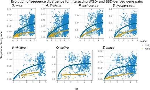 Evolution of sequence divergence for interacting WGD- and SSD-derived gene pairs. Rates of nonsynonymous substitutions per substitution site (Ka) were used to represent sequence divergence, and rates of synonymous substitutions per substitution site (Ks) were used as a proxy for time. As linear models cannot account for saturation at higher Ks values, a Michaelis–Menten curve was fitted in the scatter plot. The plot shows that WGD-derived gene pairs have lower sequence divergence over time as compared to SSD-derived pairs.