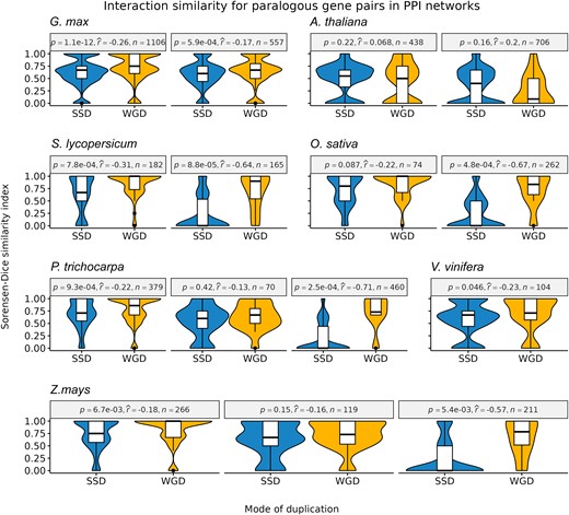 –Sorensen–Dice similarity indices were used to indicate interaction similarity. For each species, different panels indicate gene pairs from different age groups (defined based on Ks peaks, see Materials and Methods for details), with panels arranged from left to right in chronological order (from younger to older groups). Overall, WGD-derived gene pairs have a higher interaction similarity as compared to SSD-derived gene pairs, especially for older duplicates (Mann–Whitney U test; P < 0.05). Effect sizes were measured using point-biserial correlation coefficients.