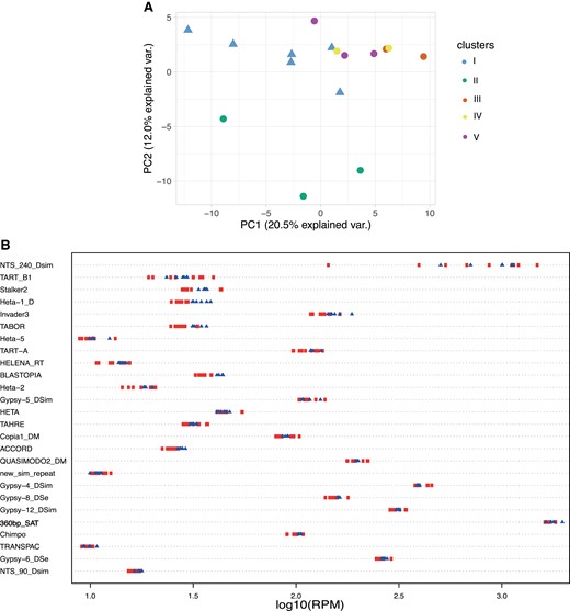 (A) PCA based on the complex satellite abundance. Sensitive Y chromosomes are represented by a triangle while the resistant Ys are represented by a circle. Each Y chromosome is colored based on the clusters defined previously using the nucleotide diversity (fig. 2). (B) Strip chart representing the top 25 most variable complex satellites (based on coefficient of variation), among which the 360-bp satellite (in bold) is indicative of the background noise. To be able to distinguish the differences between strains, RPM counts have been transformed in log10. Each dot corresponds to a Y chromosome. The Y-resistant chromosomes are represented by a red circle while the sensitive Y chromosomes are shown with a blue triangle.