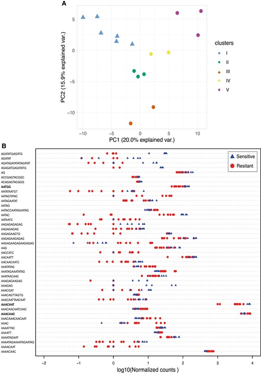 (A) PCA based on the simple satellite abundance. Each Y chromosome is colored according to the cluster to which it belongs (defined by nucleotide diversity, fig. 2B). Sensitive Y chromosomes are represented by triangles while the resistant ones are represented by circles. (B) Strip chart of the 43 simple satellites differentially enriched (P < 0.05) between the resistant Y's (red circles) and the sensitive Y’s (blue triangles). Normalized counts were transformed in log10.