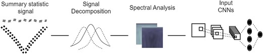 Depiction of a c=1 channel convolutional neural network (CNN) architecture. A summary statistic signal of length n=128 is used as input to a spectral analysis method (either wavelet decomposition, multitaper analysis, or S-transform) to decompose the signal into a matrix of dimensions m×n, with m=65, which is then standardized at each element based on the mean and standard deviation across all N=18,000 training observations, and is then used as input to a CNN. The CNN has two convolution layers (three layers for the S-transform), followed by a dense layer with n nodes containing both elastic-net and dropout regularization. The output layer of the CNN is a softmax that computes the probability of a sweep.