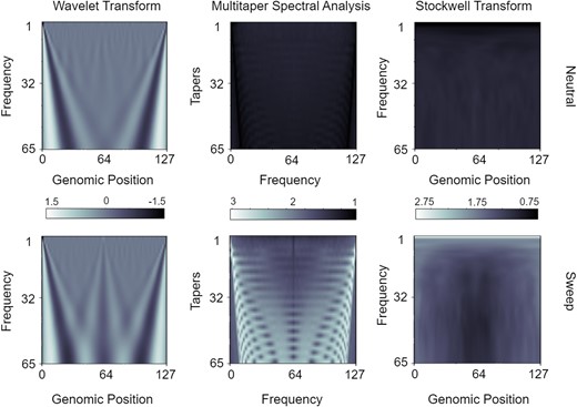 Mean spectral analysis input matrices for n=128 windows of the mean pairwise sequence differences π^ across the N/2=9,000 neutral and N/2=9,000 sweep replicates under the Equilibrium_fixed dataset containing an equilibrium constant-size demographic history and a sweep that completed t=0 generations before sampling. Top row are neutral simulations and bottom row are sweep simulations. Spectral methods are depicted from left to right columns for the wavelet decomposition, multitaper analysis, and the S-transform, respectively. Elements of each matrix have been scaled to have a standard deviation of one across all N simulated replicates for a given spectral analysis method.
