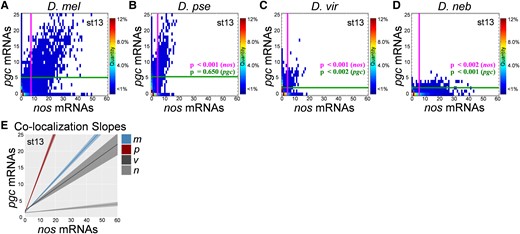 Germ granule censuses produced from various Drosophila species. (A–D) The Granule Censuses produced from analyzing nos and pgc homotypic clusters in stage 13 germ plasms from D. mel, D. pse, D. vir, and D. neb. The vertical line represents the average nos cluster size observed in the germ plasm, whereas the horizontal line represents the average pgc cluster size in the germ plasm in each census. (E) Lines of best fit generated by plotting the cluster sizes of nos and pgc that reside within the granule (colocalized) for each species. The shaded regions represent the ± SEM for a minimum of three biological replicates. The heatmaps in (A–D) represent the percent of granules that have a particular nos and pgc mRNA composition. For all species, n > 5,000 homotypic clusters were analyzed, and P values were calculated based on comparing each species’ average nos or pgc clusters size to D. mel's average nos or pgc cluster size.