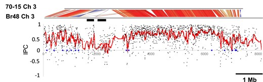 IPC decreases in genomic segments showing structural variations between the 70-15 and Br48 strains. Black dots represent the IPC values of individual genes. Red dots indicate moving averages of 15 consecutive IPC values. Black bars show the positions of the 0.22 Mb (left) and 0.24 Mb (right) regions, respectively. The genomic positions of P. oryzae homologs to possible HGT-derived genes identified by Qiu et al. (2016) are shown as blue dots.