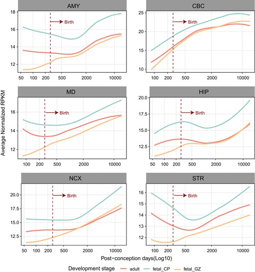 The expression trajectories of RECE-associated genes in the fetal and adult human brain. Expression trajectories of genes targeted by RECEs in human fetal and adult brains during the course of human brain development. The expression level of genes in samples at specific developmental time points is represented by the median expression level with correction against the background of all expressed genes in human brain transcriptomes. The expression data were obtained from previous studies (Zhu et al. 2018).