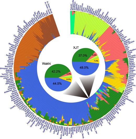 Unsupervised ADMIXTURE analysis (K = 8) pattern of the Wakhi in the context of worldwide populations. The admixture proportions were estimated using ADMIXTURE. Each individual is represented by a bar broken into eight colored segments with lengths proportional to the eight inferred clusters/ancestries. The genetic constitution of Wakhi and XJT is summarized and displayed in the two pie charts in the center of the circle plot; admixture components are denoted as percentages and with different colors. A total of 299,178 SNPs were used in this analysis.