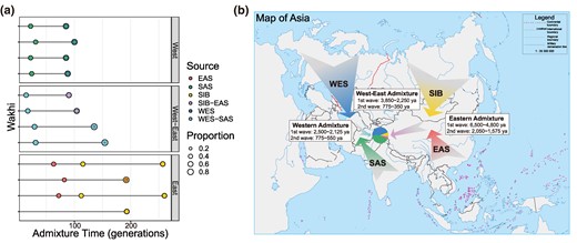 Population admixture and modeling admixture history of the Wakhi. a) Admixture time of Eastern (SIB-EAS) admixture, Western (WES-SAS) admixture, and West–East admixture in the Wakhi by MultiWaver. The representative populations (represented as colored balls) are as follows: WES, Sardinian and Basque; SAS, Mala and Vishwabrahmin; SIB, Itelmen and Koryak; EAS, Han_south and She; WES-SAS, Balochi and Makrani; SIB-EAS, Dolgan and Nganasan. b) Schematic map showing the possible admixture model of the Wakhi. Colored arrows indicate ancestral sources and directions of the gene flow. The Map of Asia was obtained from http://bzdt.ch.mnr.gov.cn/ No. GS(2016)2938.