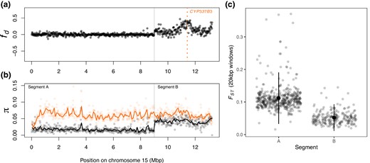 Introgression of CPY337B3. a) fd^ calculated in 20 kbp windows along chromosome 15, where P1 is H. zea sampled in 2002, P2 are Ja15 and Ja25 in supplementary fig. S1, Supplementary Material online, P3 is H. armigera, and the outgroup is H. punctigera. b) Nucleotide diversity (π) calculated in 20 kbp windows (points) and 100 kbp windows (lines) for the admixed individuals (Ja15 and Ja23; black) and for H. armigera (coloured). c) Genetic differentiation (FST), calculated in 20 kbp windows, between the admixed individuals and H. armigera in the chromosomal segments labeled in (b). H. zea samples collected in 2002 are from Taylor et al. (2021) and samples from other Helicoverpa species are from Anderson et al. (2018); see supplementary table S2, Supplementary Material online for details.