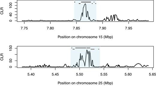 Sweep regions on chromosomes 15 and 25. CLR calculated in SweepFinder2. Black bars indicate the position of gene annotations on the forward strand (top) and reverse strand (bottom) listed in supplementary table S3, Supplementary Material online. Shaded area indicates the sweep region.
