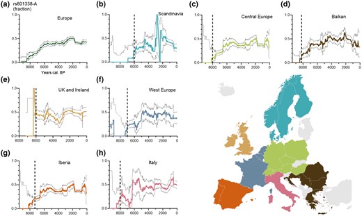 Evolutionary history of the enteritis-protective FUT2 truncation allele in relation to introduction of farming. Gray lines show 95% CIs. Large uncertainty for older times is due to small sample sizes. Vertical dashed line indicates when farming was introduced into the region (Shennan 2018). a) Frequency trajectory for the FUT2 truncation allele in Europe over the last 9,500 years. b to h) Frequency trajectories for the FUT2 truncation allele in Scandinavia b), Central Europe c), Balkan d), the United Kingdom and Ireland e), West Europe f), Iberia g), and Italy h). The dotted vertical bars represent suggested timepoints for introduction of farming. See Table S1 for countries included in the regions.