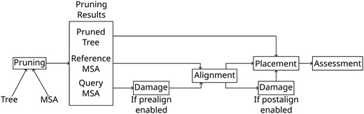 Diagram of the modified PEWO pipeline. The steps “Pruning,” “Alignment,” “Damage,” “Placement,” and “Assessment” are described in Section “Simulating Ancient DNA Damage”.