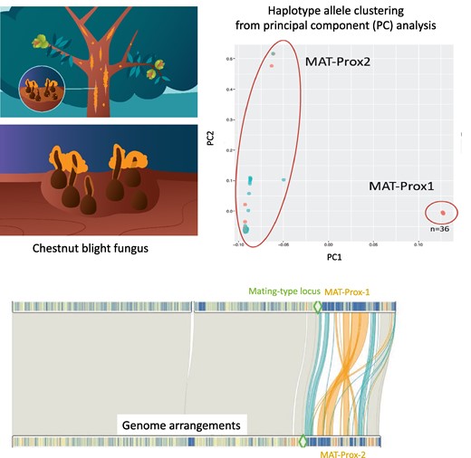 Graphical Abstract