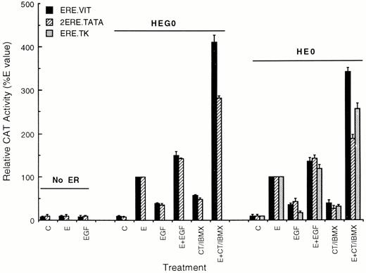 ER Dependence of Reporter Gene Response to Estradiol, EGF, and Elevated cAMP in HeLa Cells HeLa cells were withdrawn from estradiol and transferred to serum-free medium before being transfected with reporter plasmid DNA with or without ER plasmid (HEG0 or HE0) DNA as indicated. All cells were cotransfected with pSV-β-galactosidase plasmid DNA. After 24 h, cells were transferred to serum-free medium with additions (E, EGF, CT/IBMX) or without addition (C) as indicated. Cells were harvested after 24 h of treatment and assayed for CAT and β-galactosidase activity. CAT activity was normalized relative to thr β-galactosidase activity and is expressed as a percentage of the activity in HEGO-transfected, estradiol-treated cells. Results are the means± sd of three experiments.