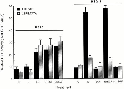 The Ability of Carboxyl-Terminal, but not Amino-Terminal, Truncated ER to Support EGF Stimulation of Reporter Gene Expression in HeLa Cells HeLa cells were transfected with the indicated reporter plasmid DNA plus expression vector DNA containing either HE15- or HEG19-truncated ER cDNA. Experiments were conducted as described for Fig. 2 (ICI, antiestrogen ICI 164384). CAT activity is expressed as a percentage of the activity measured in HEG0-transfected, estradiol-treated cells. Results are the mean ± sd of three separate experiments.