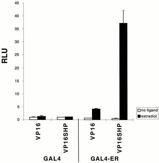 Specific Interaction of ER with SHP in HepG2 Cells by a Mammalian Two-Hybrid Assay GAL4-human ERα LBD (0.1 μg/well) and VP16-SHP (0.5 μg/well) were cotransfected by diethylaminoethyl-dextran method (28 ) with TKGH (0.5 μg/well) and luciferase reporter plasmid containing three copies of GAL4 DNA-binding element (0.5 μg/well) into HepG2 cells grown in 12-well plates. Fresh media containing either 1 μm 17β-estradiol or ethanol were added about 16 h after DMSO shock. Results are expressed relative to luciferase expression with empty vectors, GAL4 alone plus VP16, in the absence of ligand. The data were reproducible, and a similar pattern was obtained with transfection of U2-OS cells.
