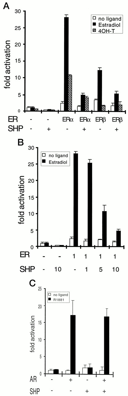 Specific Inhibition of ERα by SHP A, Inhibition of transactivation by ER with SHP. Plasmids containing human ERα and rat ERβ1 in pCDNA3 vector (25 ng/well) and SHP in CDM8 vector (250 ng/well) were cotransfected with TKβ-gal (125 ng/well) and ERETKluciferase (250 ng/well), a luciferase reporter plasmid containing three copies of vitellogenin ER response element, into U2-OS cells grown in 24-well plates. Results are expressed relative to luciferase activity with pCDNA3 alone without 17β-estradiol. The data were reproducible, and a similar pattern was obtained with transfection of HepG2 cells. B, Dose-dependent inhibition of SHP. Plasmids containing human ERα in pCDNA3 vector (25 ng/well) were cotransfected with 1-, 5-, or 10-fold concentration of SHP in CDM8 vector (25, 125, or 250 ng/well, respectively) in addition to TKβ-gal (125 ng/well) and ERETKluciferase (250 ng/well) into U2-OS cells grown in 24-well plates. Results are expressed relative to luciferase activity with pCDNA3 alone without 17β-estradiol. The data were reproducible and a similar pattern was obtained with transfection of HepG2 cells. c, No effect of SHP on transactivation by AR. Plasmids containing human AR with SV 40 promoter (0.05 μg/well) and SHP in CDM8 vector (0.5 μg/well) were cotransfected with TKβ-gal (0.25 μg/well) and luciferase reporter plasmid MMTV promoter (0.5 μg/well) into U2-OS cells grown in 24-well plates. Results are expressed relative to luciferase activity with empty vector alone without a ligand of AR, R1881. In all experiments, 1μ m of appropriate cognate ligands were added about 16 h after transfection, and cells were incubated for one more day before harvest for assays.