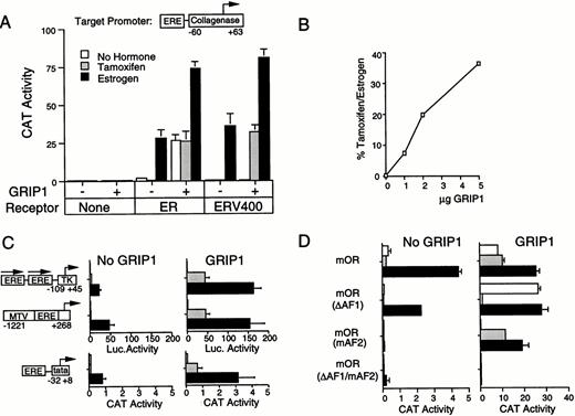 GRIP1 Potentiates Tamoxifen Response A, The effect of estrogen and tamoxifen upon expression of a transiently transfected ERE-coll-CAT reporter gene was examined in HeLa cells in the presence or absence of GRIP1. Where indicated, we also included empty expression vector SG5 (none) or ER expression vectors SG5-ER or SG5-ERV400. The transfected cells were treated with either ethanolic vehicle (), 5 μm tamoxifen (gray bars) or 10 nm estradiol (black bars). CAT activities represent averages from triplicate wells from a representative transfection. B, Relative activity of tamoxifen vs. estrogen increases as a function of GRIP1 levels. Transfections utilizing SG5-ERV400 expression vector were performed as in Fig. 1A in the presence of increasing amounts of GRIP1 expression vector. The data are expressed as the percentage of tamoxifen response relative to estrogen response (set at 100%). C, GRIP1 enhances the activity of tamoxifen- and estrogen-liganded ER at a variety of promoters. The experiment was performed as described in Fig. 1A using a variety of ER-responsive reporters (from top to bottom): EREII-LUC (GL45), two vitellogenin EREs upstream of the herpes simplex virus TK proximal promoter (−109/+45); MTV-ERE-LUC, the MTV long terminal repeat region (−1228/+268) with a single palindromic ERE replacing the complex multiple hormone response element; ERE-TATA-CAT, a single ERE 19-mer upstream of the collagenase TATA box region (−32/+8). D, Analysis of tamoxifen action on ER mutants. Expression vectors for mouse ERs (mORs) were transfected into HeLa cells and their effect on ERE-coll-CAT expression was determined in the absence or presence of GRIP1. mORs were full length, contained a deletion of the first 120 amino acids of the AB domain (mORΔAF-1), an AF-2-disruptive double alanine for leucine substitution at positions 543 and 544 in LBD activation helix 12 (mORmAF-2), or both (mORΔAF-1/mAF-2).