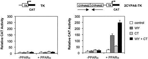 CT Increases mPPARα Activity on a PPRE-Containing Promoter mPPARα was transfected along with TK-CAT or 2CYPA6-TK-CAT constructs in HEK-293 cells. Transfections were with 200 ng of TK-CAT or 2CYPA6-TK-CAT reporter construct and with or without 100 ng of pSG5-mPPARα expression vector per well. Cells were grown for 36 h in the presence of 1 μm WY 14,643 (WY), with or without 1 μg/ml CT. Results are shown as the mean ± sd (n = 6) of CAT activity after normalization for β-galactosidase activity.
