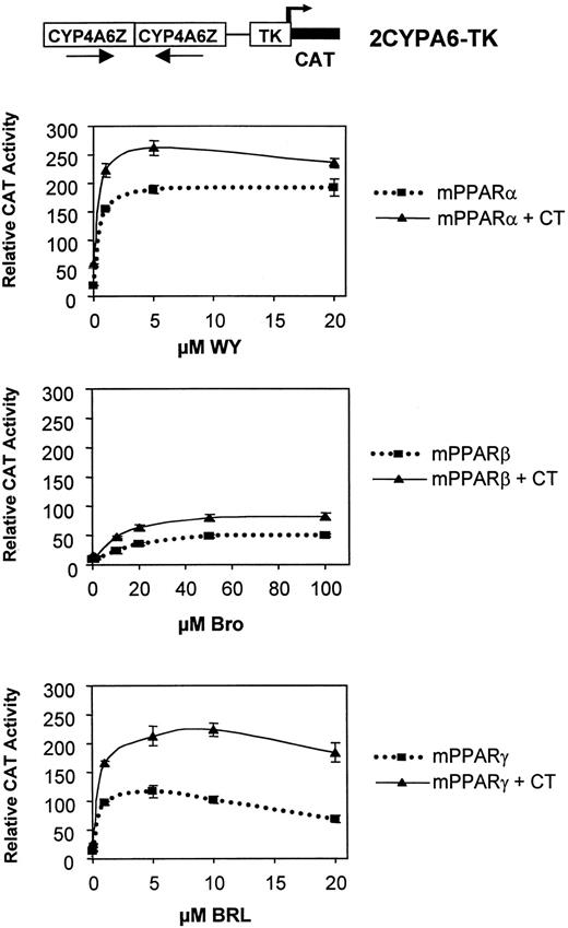 CT Increases mPPAR Activity at Various Concentrations of PPAR Ligands mPPARα, -β, and -γ were tested for their ability to respond to CT in HEK-293 cells. Transfections were with 200 ng of 2CYPA6-TK-CAT reporter construct and 100 ng of pSG5-mPPARα, β and γ expression vectors per well. Cells were grown for 36 h in the presence of various concentrations of WY 14,643 (WY), Bromopalmitate (Bro), and BRL 49,653 (BRL), with or without 1 μg/ml CT. Results are shown as the mean ± sd (n = 6) of CAT activity after normalization for β-galactosidase activity.