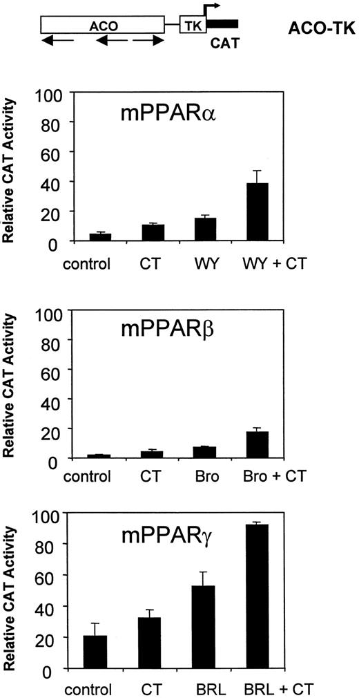 PKA Enhancement of PPAR Activity via the ACO PPRE mPPARα, -β, and -γ cDNAs were cotransfected in HEK-293 cells with ACO-TK-CAT reporter construct instead of the 2CYPA6-TK-CAT reporter construct in the same conditions as in Fig. 1. Cells were grown for 36 h in the presence of 1 μm WY 14,643 (WY), 50μ m Bromopalmitate (Bro), and 5 μm BRL 49,653 (BRL), with 1 μg/ml CT when indicated. Results are shown as the mean ± sd (n = 6) of CAT activity after normalization for β-galactosidase activity.