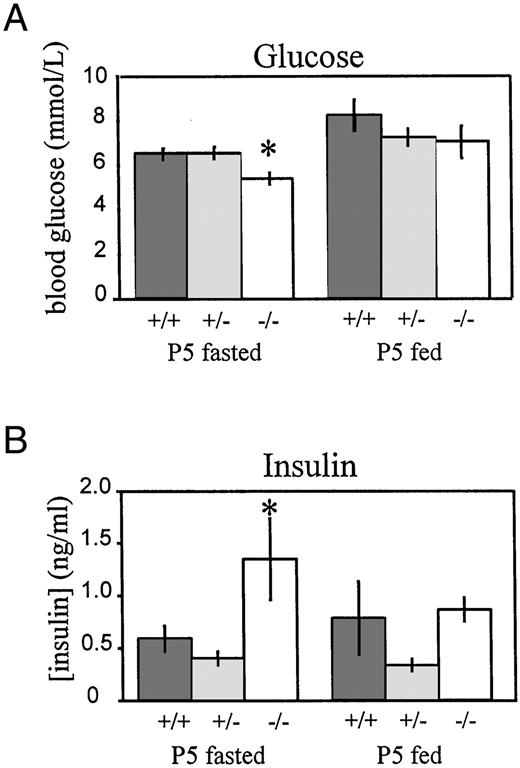 Measurement of Blood Glucose and Serum Insulin in PACAP−/− Mice in Relation to Heterozygous and Wild-Type Littermates Error bars represent sem; * indicates a significant difference (P < 0.05) between the values obtained from the PACAP−/− mice and both the PACAP+/− and PACAP+/+ mice (Tukey-Kramer Multiple Comparison Test). A, Blood glucose levels in postnatal day 5 (P5) fasted PACAP+/+(n = 10), PACAP+/− (n = 10) and PACAP−/− (n = 10) mice and fed PACAP+/+(n = 8), PACAP+/− (n = 15) and PACAP−/− (n = 6) mice. B, Levels of serum insulin in postnatal day 5 (P5) fasted PACAP+/+(n = 19), PACAP+/− (n = 20), and PACAP−/− (n = 17) mice and fed PACAP+/+(n = 10), PACAP+/− (n = 10), and PACAP−/− (n= 10) mice.