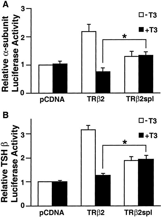 Transcriptional Activity of TRβ2 and TRβ2spl on Genes Encoding TSH Subunits Equal amounts of pcDNA expression vectors for TRβ2 and TRβ2spl were cotransfected with glycoprotein α-subunit or TSHβ luciferase reporter vectors into TSA 201 cells as described in Materials and Methods. The cells were incubated with 50 nm T3 for 40 h and harvested, and luciferase activity was measured. Data are represented as the mean ± sd from nine individual samples. The asterisk indicates significant difference between TRβ2spl-dependent and TRβ2-dependent luciferase activity in the presence of T3 (P < 0.01) determined by unpaired t tests. A, Glycoprotein hormone α-subunit luciferase activity. B, TSHβ luciferase activity.