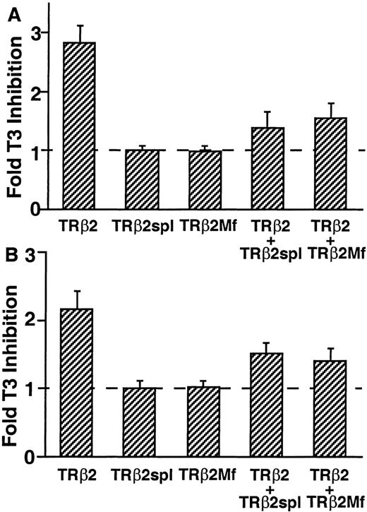 Dominant Negative Activity of TRβ2spl and TRβ2Mf on TRβ2 Regulation of Genes Encoding TSH Subunits TSA 201 cells were transfected with equal amounts of TRβ2 and TRβ2spl or TRβ2Mf with glycoprotein hormone α-subunit or TSHβ luciferase vector. The cells were incubated with 50 nm T3 and harvested, and luciferase activity was measured. Fold T3 inhibition is calculated as luciferase activity in the absence of T3 divided by luciferase activity in the presence of T3. Data are represented as the mean ± sd from nine individual samples. A, Glycoprotein hormoneα -subunit luciferase activity. B, TSHβ luciferase activity.