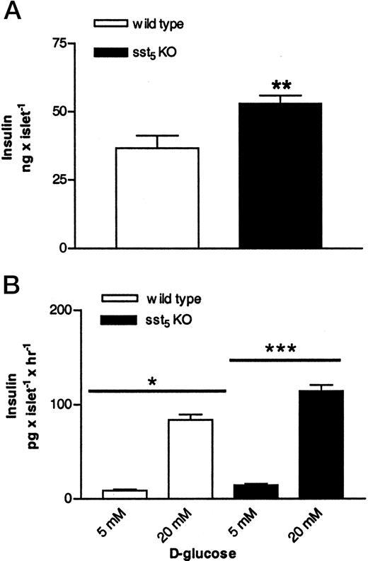 Effects of sst5 Deletion on Insulin Content and Insulin Secretion from Pancreatic Islets A, Insulin content of islets isolated from 2- to 3-month-old male WT and sst5 KO mice. Insulin content is expressed as nanograms per islet. Data are expressed as mean of 16–24 experiments (±sem); **, P < 0.01. B, Basal (5 mm) and 20 mm d-glucose-stimulated insulin secretion from pancreatic islets isolated from WT and from sst5 KO mice. Supernatant from cultured islets was assayed for insulin content by a rat RIA. Insulin content is expressed as picograms per islet per hour. Data are expressed as mean of 10–14 experiments (±sem); *, P < 0.05; **, P < 0.001; ***, P < 0.001.