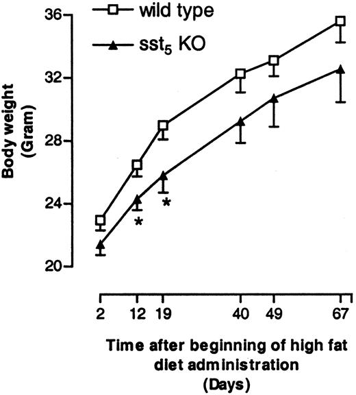 Body Weight Changes in WT and sst5 KO Mice Fed a High-Fat Diet Male WT and sst5 KO mice (six to seven per cage) were fed high-fat diet (36% wt/wt, 58.4% kcal %) ad libitum for a period of 10 wk, and body weight changes were monitored. Each data point represents average body weight in grams (±sem) of 17–27 animals at each time point. *, P < 0.05.