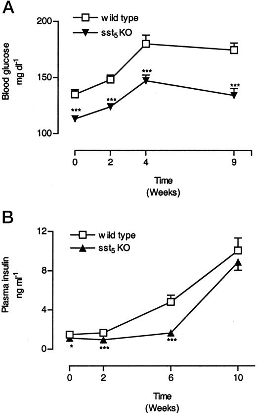 Changes in Postprandial Blood Glucose (A) and Plasma Insulin (B) Levels in sst5 KO and WT Mice Fed a High-Fat Diet Two- to 3-month-old male WT and sst5 KO mice were fed a high-fat diet (36% wt/wt, 58.4% kcal%) ad libitum for a period of 10 wk. Blood was collected over a period of 10 wk between 0900 and 1100 h from the retroorbital plexus of conscious animals. Both glucose and insulin were measured. A, Glucose levels are expressed as milligrams per decaliter; B, insulin levels are expressed as nanograms per milliliter. Each data point represents mean of 17–27 (±sem) animals. *, P < 0.05; **, P < 0.01; ***, P < 0.001.