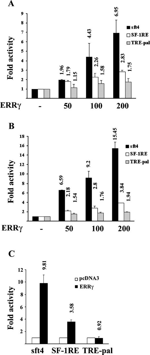 Differential Activation of sft4, SF-1RE, and TRE-pal-Containing Reporter Genes by ERRγ A, CV-1 cells were transfected with 200 ng of the indicated 1× luciferase reporter plasmids, 200 ng of RSV-β-galactosidase, and indicated doses of mammalian expression plasmids expressing ERRγ or empty vector, pcDNA3. B, CV-1 cells were transfected with 200 ng of the indicated 3× luciferase reporter plasmids, 200 ng of RSV-β-galactosidase, and indicated doses of ERRγ or pcDNA3 vector. C, HeLa cells were transfected with 200 ng of the indicated 3× reporter plasmids, 200 ng of RSV-β-galactosidase, and 200 ng of ERRγ or pcDNA3 vector. After transfections, cells were lysed, and the luciferase activity was measured, normalized against β-galactosidase activity, and plotted as fold activity, with 1-fold basal activity defined as the luciferase activity with pcDNA3. The results are expressed as mean ± se from three independent experiments performed in duplicate. The values on the top of each bar represent the respective mean fold activity.