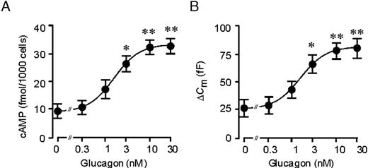 Dose-Dependent Stimulation of cAMP Production and Exocytosis by Glucagon A, Batches of rat α-cells (2000 cells/well) were incubated in 1 mm glucose with 0–30 nm glucagon. In all experiments, 0.5 mm of the phosphodiesterase inhibitor IBMX was included in the incubation medium. Cellular cAMP content was determined after 15 min incubation. Data are mean values ± sem of five to seven experiments. The curve represents a least-squares fit of the mean data points to the Hill equation. B, Dose-response relationship for glucagon-induced stimulation of exocytosis. The line is the best fit of the average data to the Hill equation. Data are mean values ± sem of five to seven experiments.