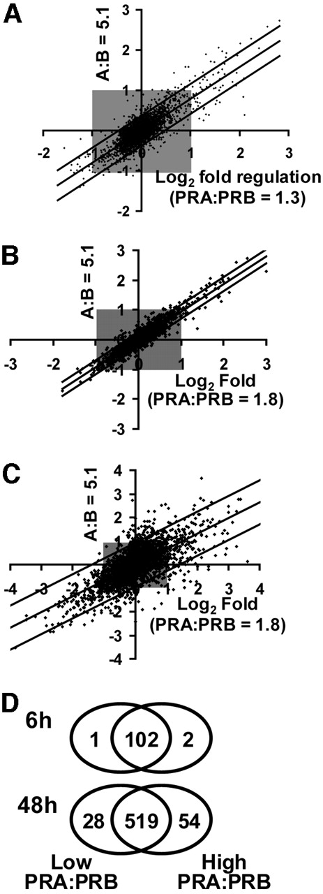 Linear Regression Analysis of Transcript Expression A, Transcript regulation by progestins at 6 h was compared between cells with the lowest PRA:PRB ratio (T-47DE3 wild-type, PRA:PRB = 1.3 at time of treatment) and the highest (T-47DN5 PRA overexpressing, PRA:PRB = 5.1 at time of treatment). Log2 fold transcriptional regulation in uninduced T-47DE3 cells (PRA:PRB = 1.3 at time of treatment) is plotted against induced T-47DN5 (PRA:PRB = 5.1 at time of treatment). The regression line and 95% confidence intervals (2 sds from the regression line of fit) are shown. B, Regression analysis of transcriptional regulation at 6 h in T-47DN5 cells with and without overexpression of PRA. C, Regression analysis of transcriptional regulation at 48 h in T-47DN5 cells with and without overexpression of PRA. D, Schematic representation of numbers of genes that were progestin regulated at 6 h and 48 h, with low PRA:PRB ratio only or high PRA:PRB only, and those progestin targets that were not differentially regulated.